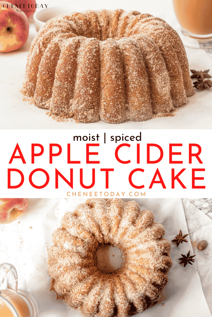 Apple Cider Donut Cake - Easy Bundt Cake Recipe with Fresh Apples and Cinnamon! | Chenée Today