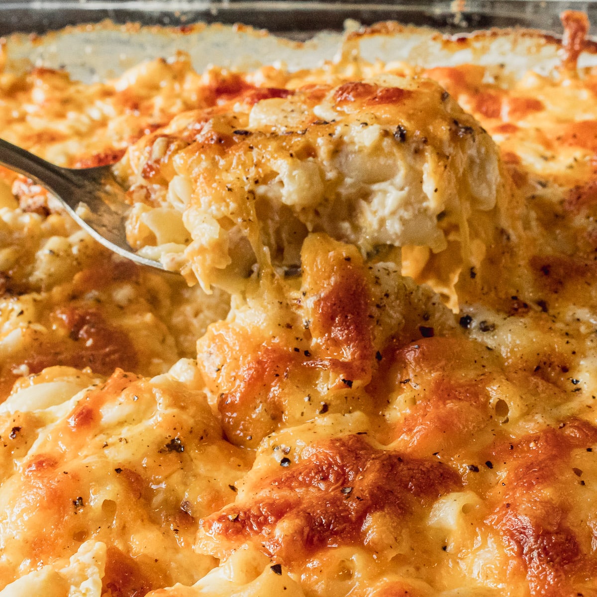 close up of southern baked mac and cheese