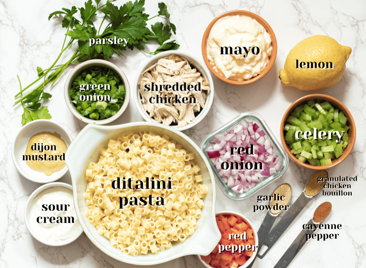 ingredients for chicken macaroni salad
