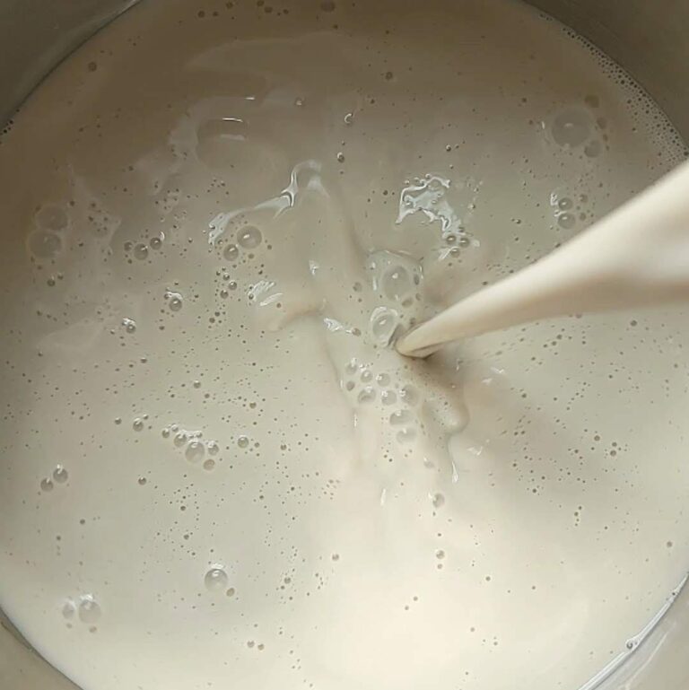 Oat Milk Eggnog Non Dairy Eggnog Recipe Chenée Today