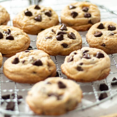chocolate chip cookies without brown sugar on a rack