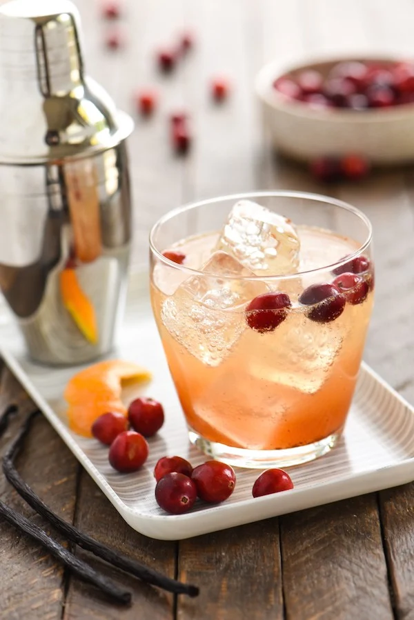 Christmas gin cocktail with cranberries