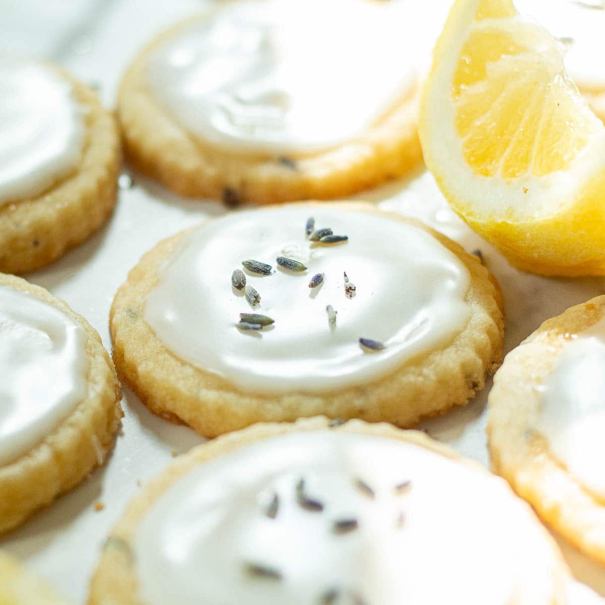 lemon lavender cookies with lemon glaze