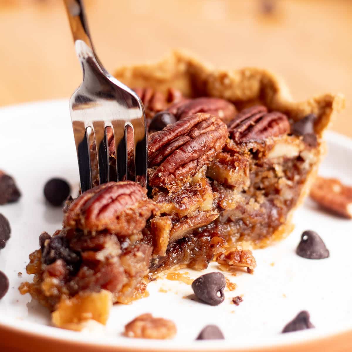 Close-up of a slice of chocolate chip pecan pie on a white plate, with a fork cutting through gooey brown sugar filling, melted chocolate chips, and toasted pecans.